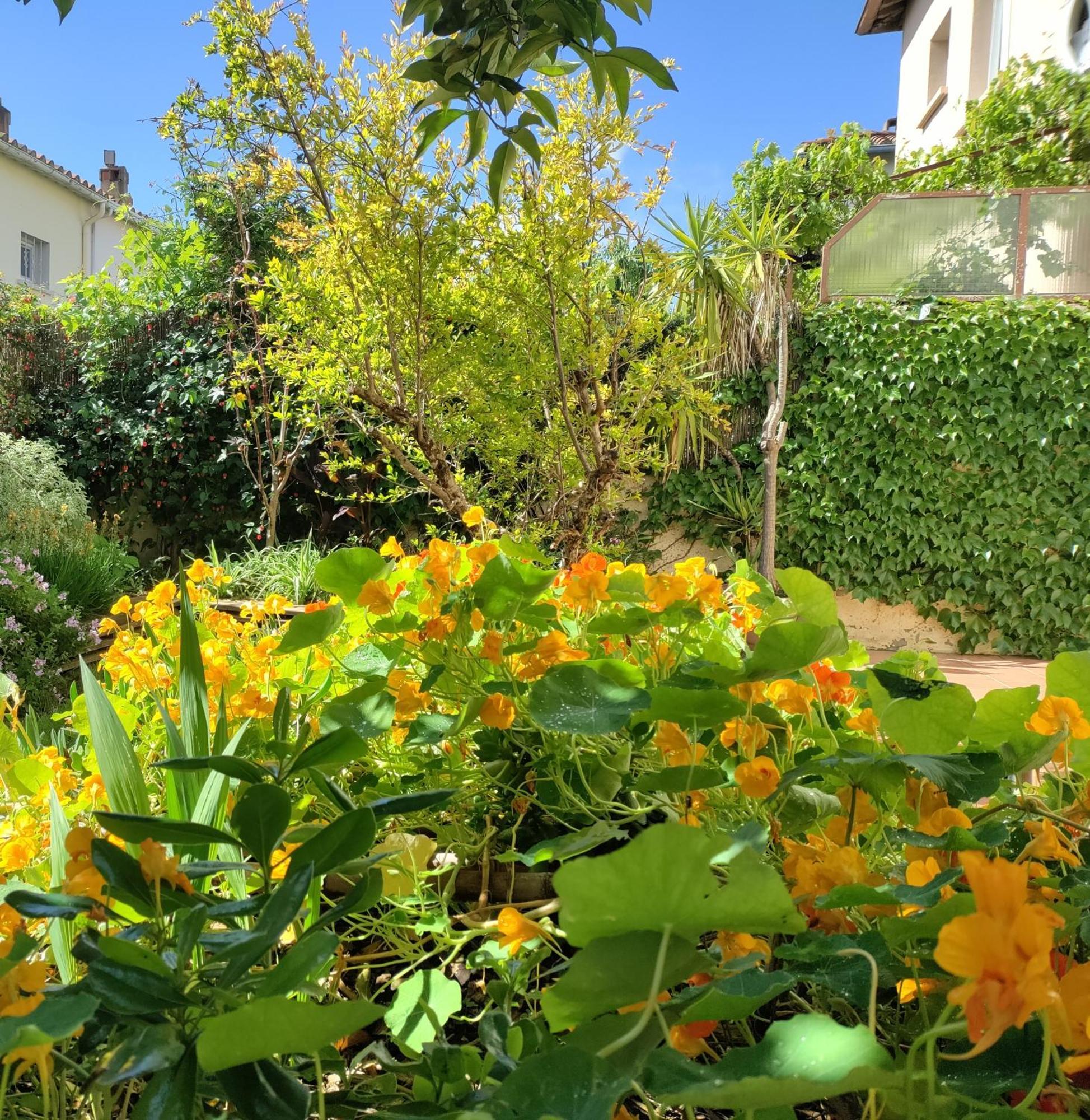 Appartement Les Papillons à Perpignan Extérieur photo